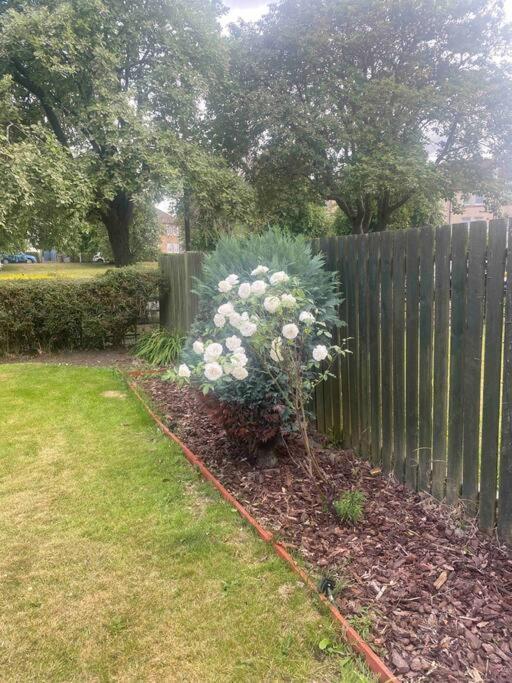 Lovely 2 Bedroom With Private Garden Edimburgo Exterior foto